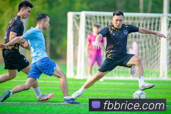 乐鱼官网登陆入口服务体系